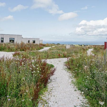 Rustic Cabins, Sea Views From Rewilded Farm With Highland Cows St. Andrews Exterior foto