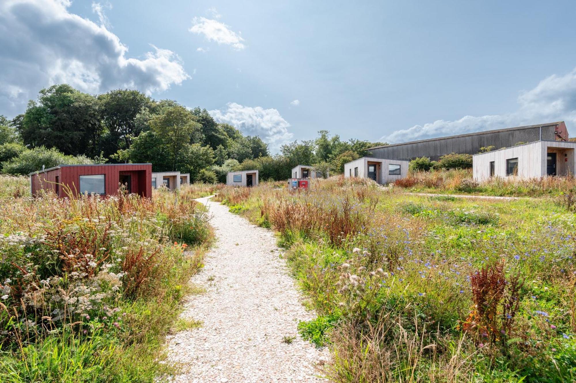 Rustic Cabins, Sea Views From Rewilded Farm With Highland Cows St. Andrews Exterior foto