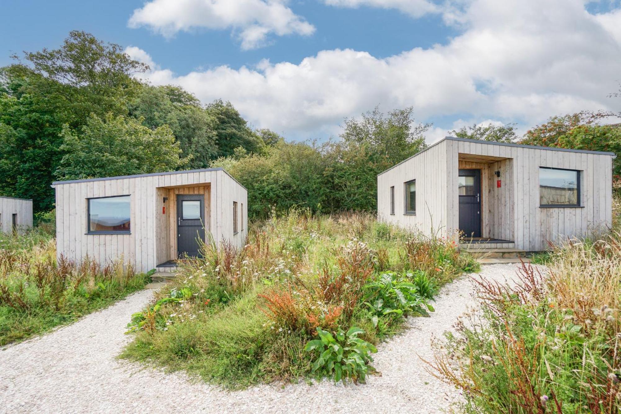 Rustic Cabins, Sea Views From Rewilded Farm With Highland Cows St. Andrews Exterior foto